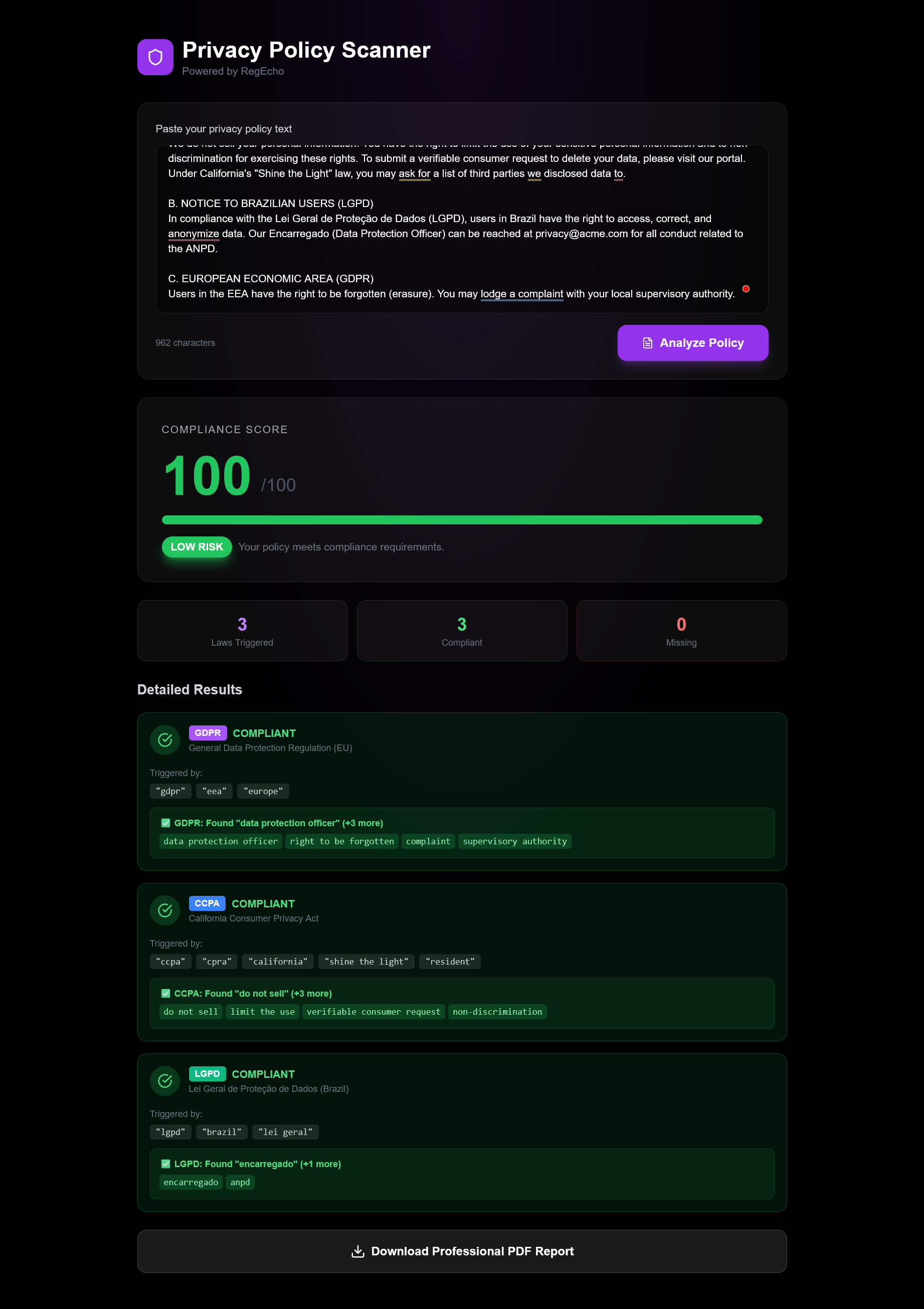 RegEcho - Main product screenshot demonstrating key features and user interface