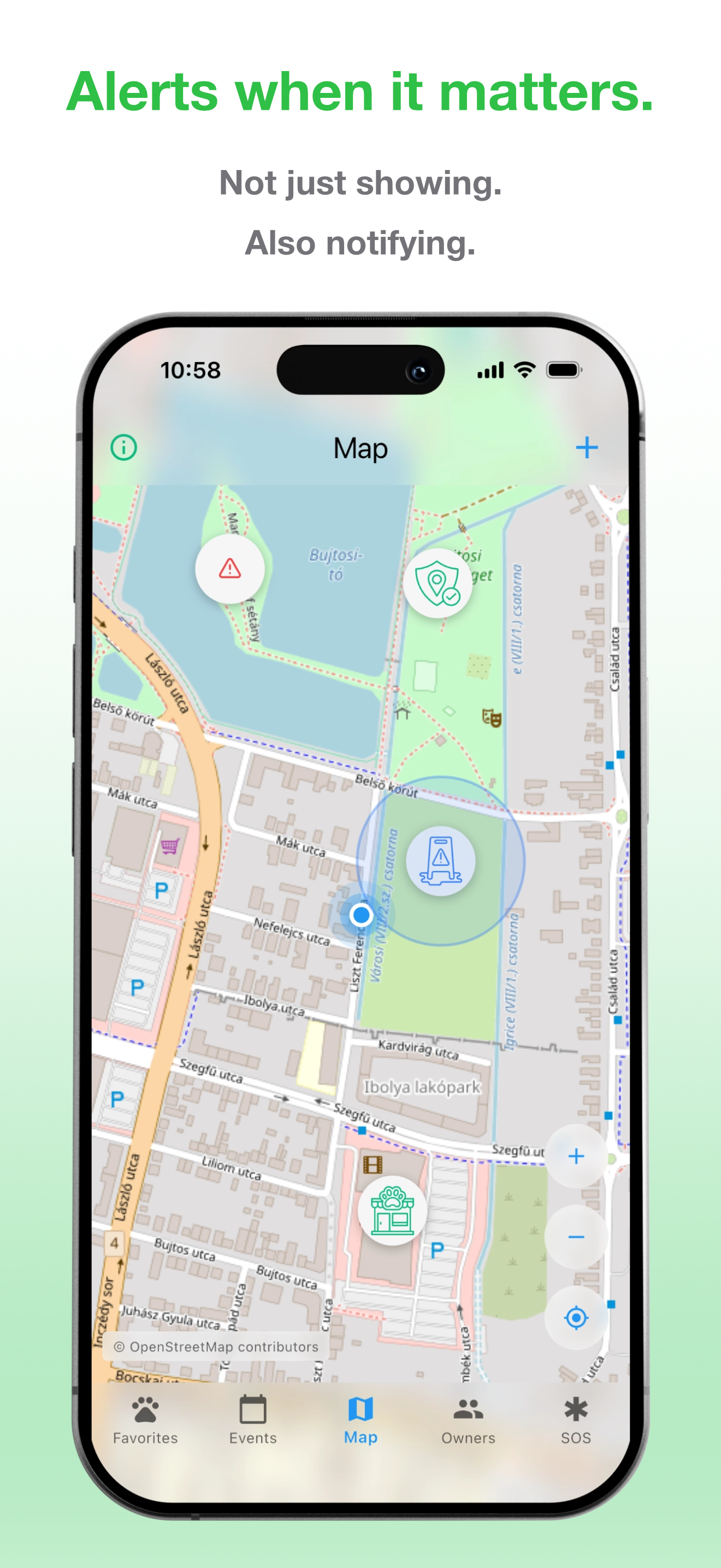 Little Pet gallery image