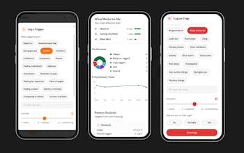 Skillful gallery image