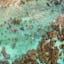 Dronestagram