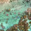 Dronestagram