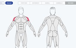 MuscleWiki Advanced Body Map  media 1