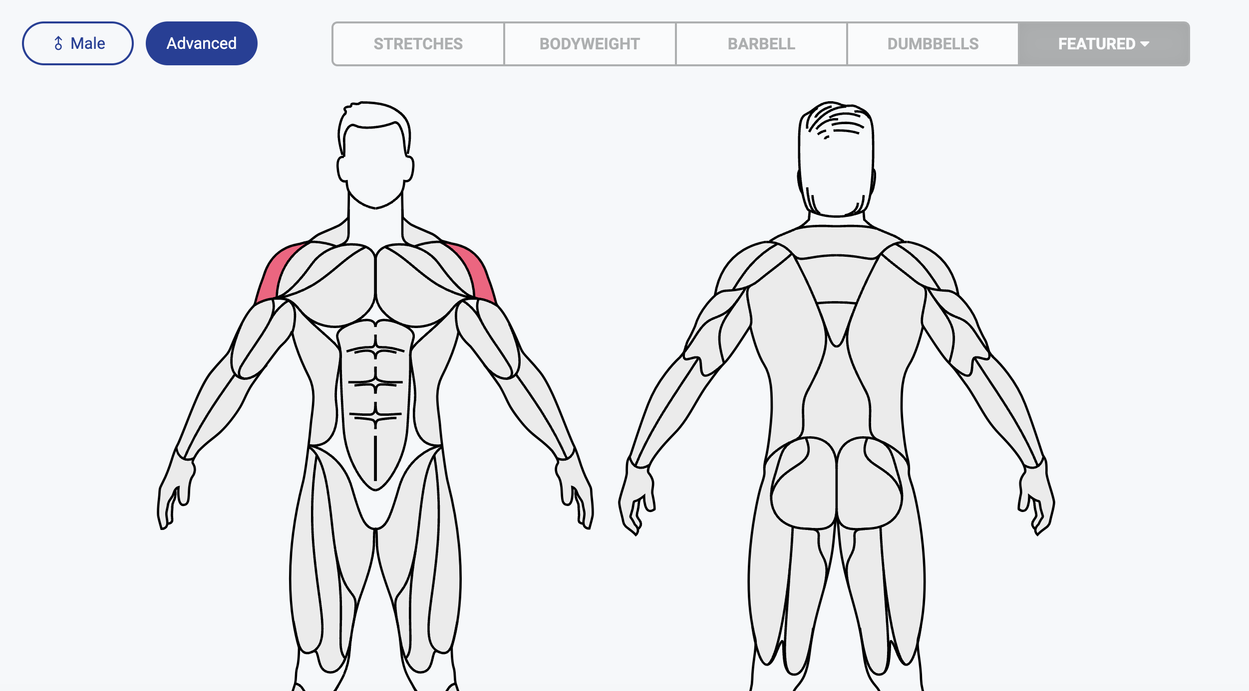 Musclewiki Advanced Body Map Medien 1