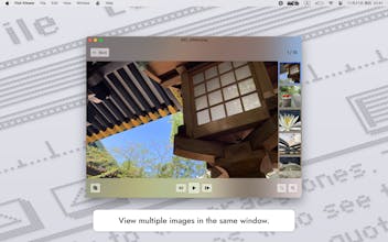 Fish Image Viewer gallery image