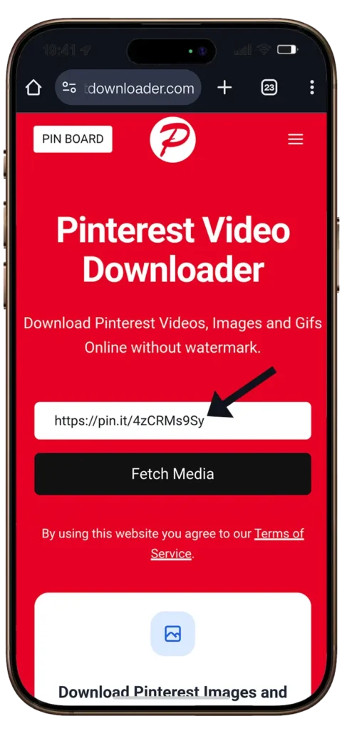 Mídia 3 de Pinterest Downloader - PintDownloader - Baixe vídeos, imagens e gifs do Pinterest online
