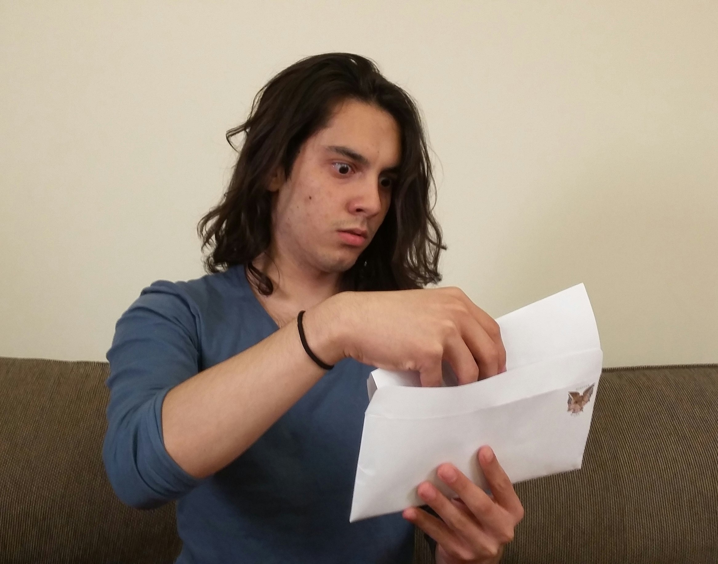 Ship Your Enemies Harambe gallery image