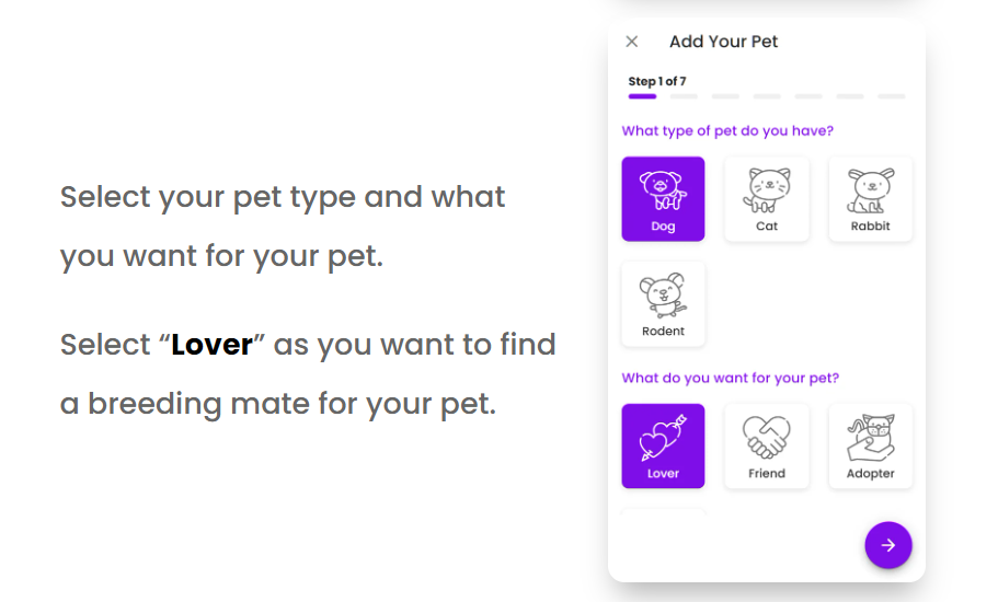 Petmeetly media 4