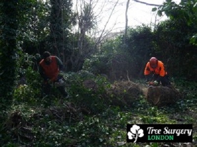 The Most Affordable Gardeners in London gallery image