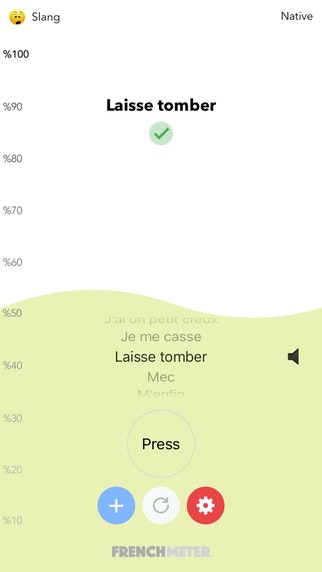 French Meter gallery image