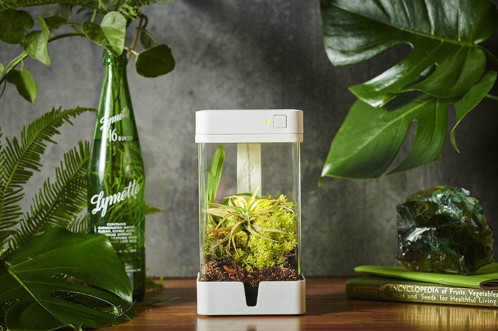 OrchidBox Smart Mini Terrarium 🌱 gallery image