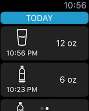 H2OPal Smart Water Bottle Hydration Tracker Image