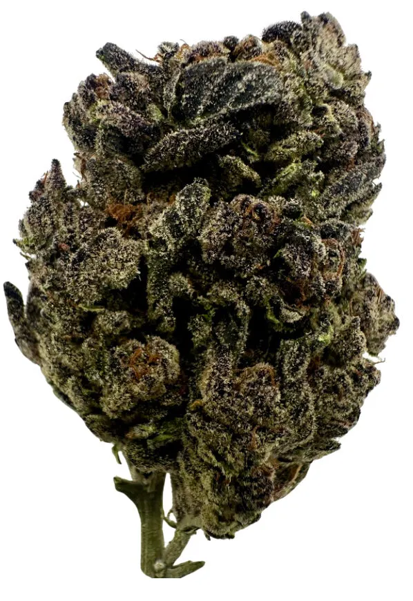 Piñata Candy Drop - 5 Minute Weed DC
