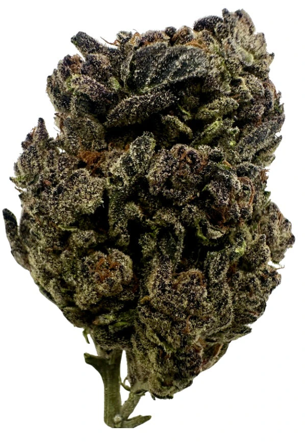 Piñata Candy Drop - 5 Minute Weed DC