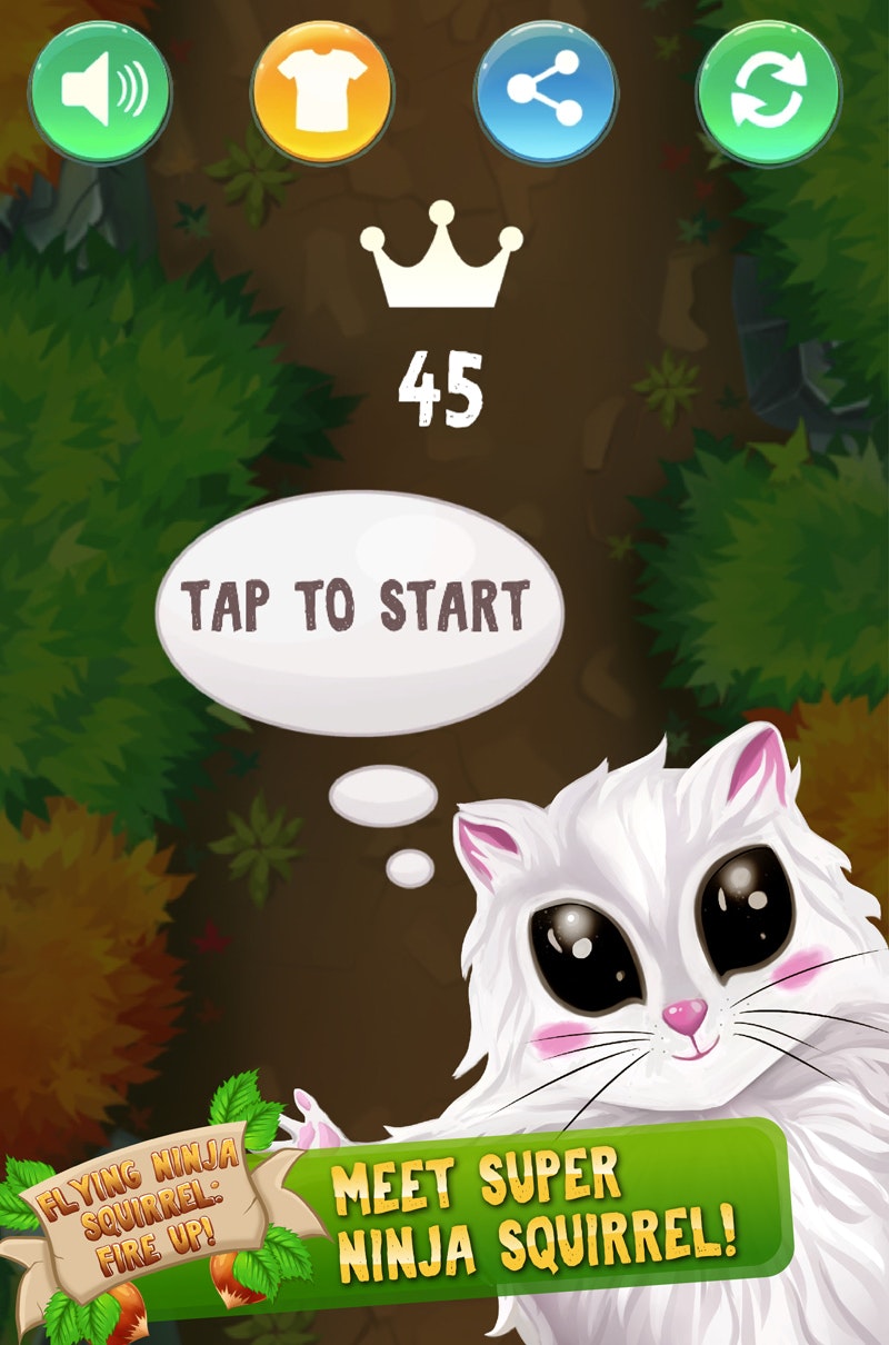 Flying Ninja Squirrel: Fire Up! gallery image