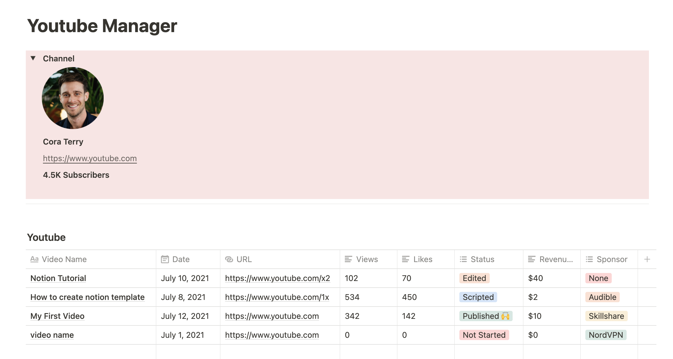 Youtube Manager gallery image