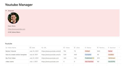 Youtube Manager gallery image