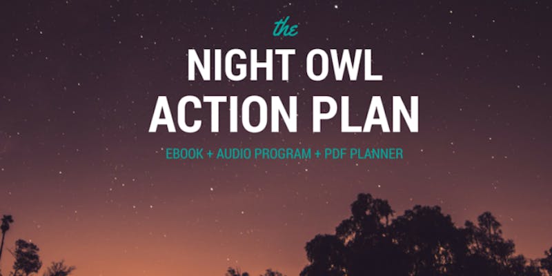 The Night Owl Action Plan media 1