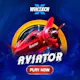 Aviator game Bonus