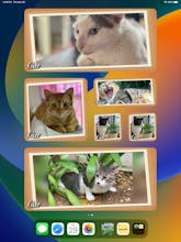Memories: Photo Widget gallery image
