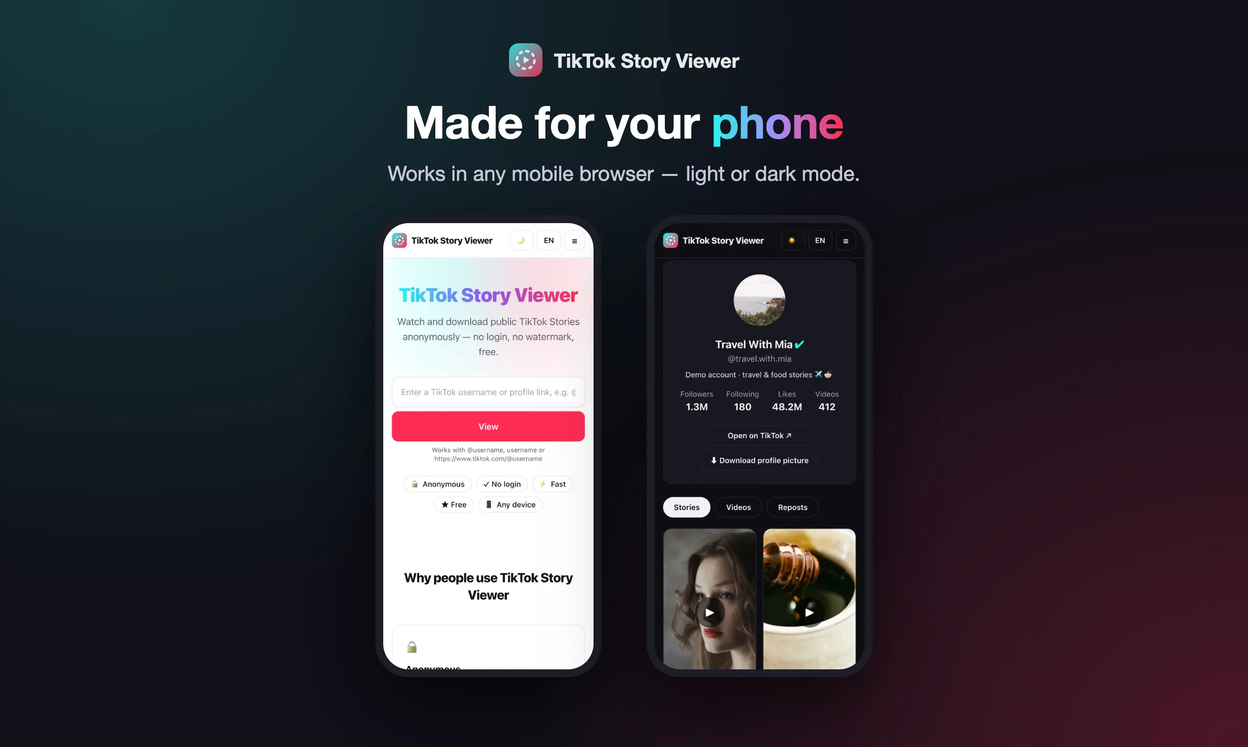 TikTok Story Viewer gallery image