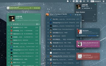 Musicer gallery image