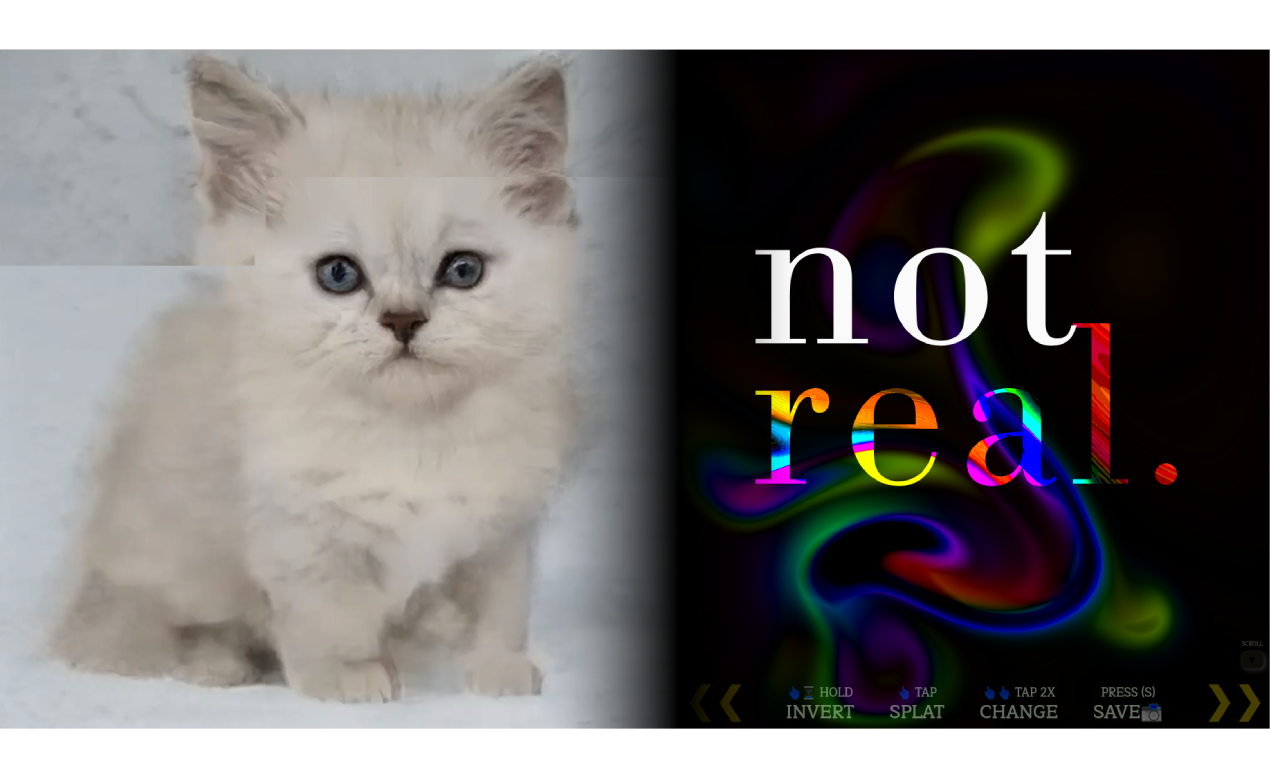 Not Real Cats gallery image