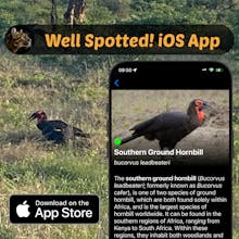 Well Spotted! iOS app gallery image