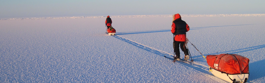 Endurance: Shackleton's Incredible Voyage gallery image