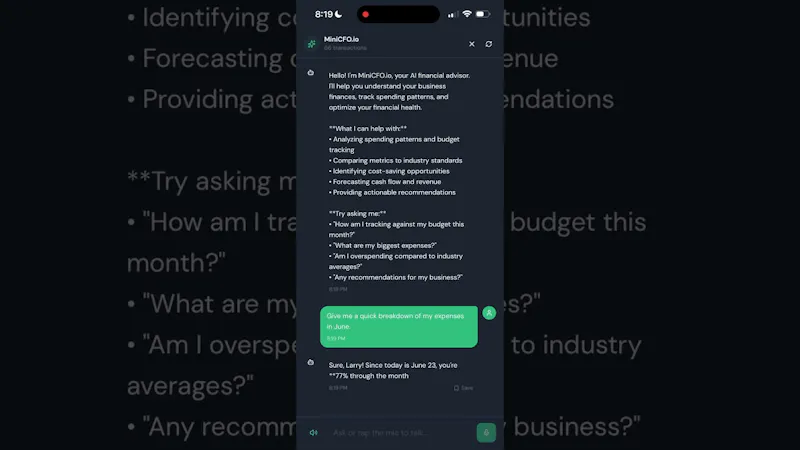 MiniCFO.io screenshot 1 (video preview)