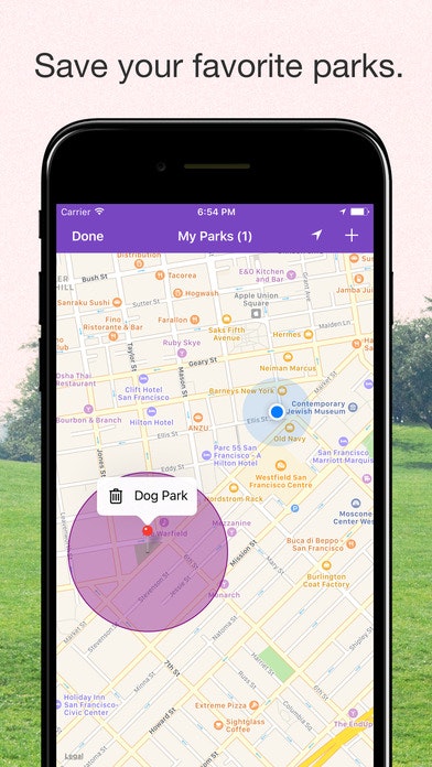 Healthy Paws gallery image