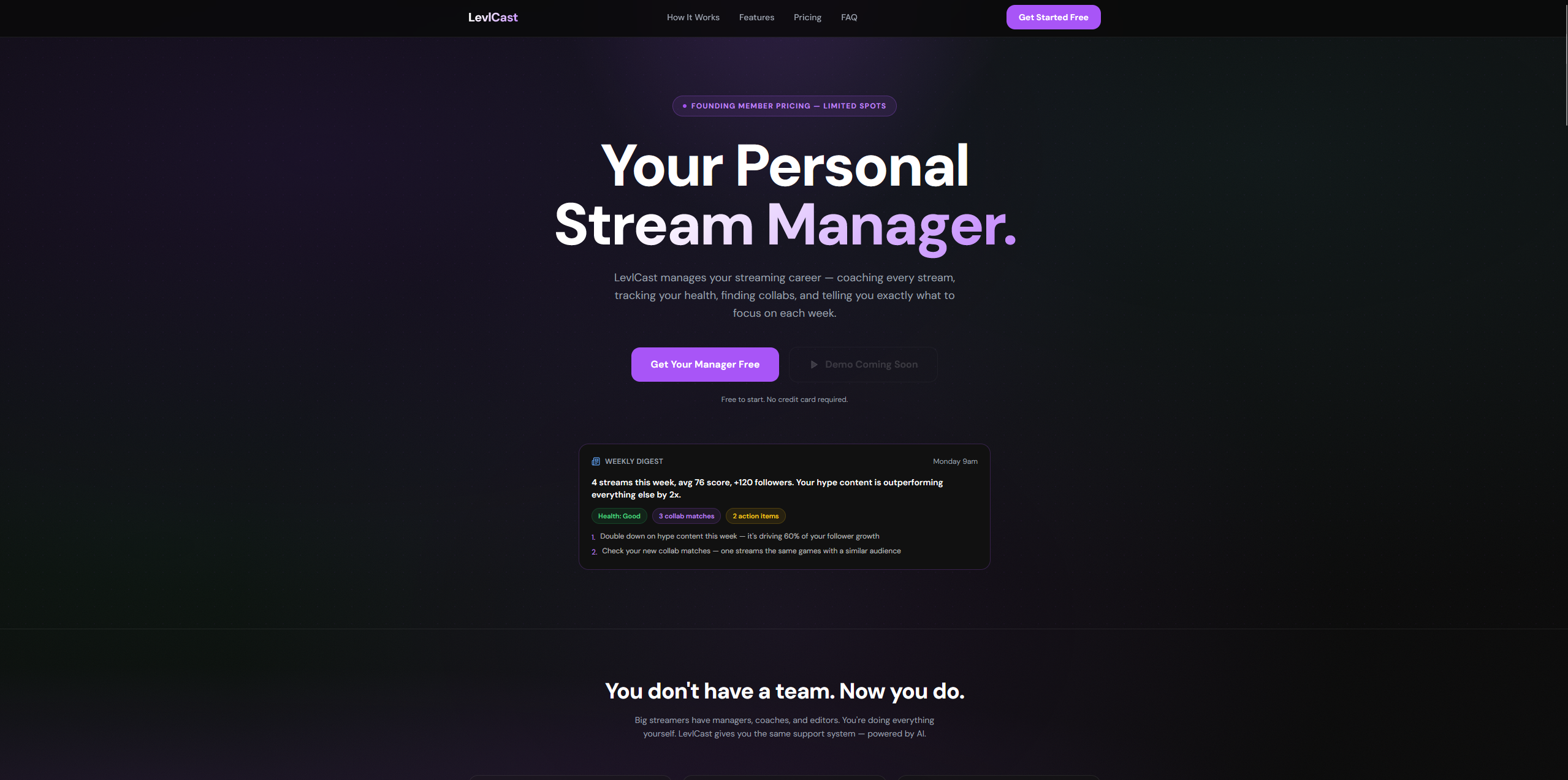 LevlCast gallery image