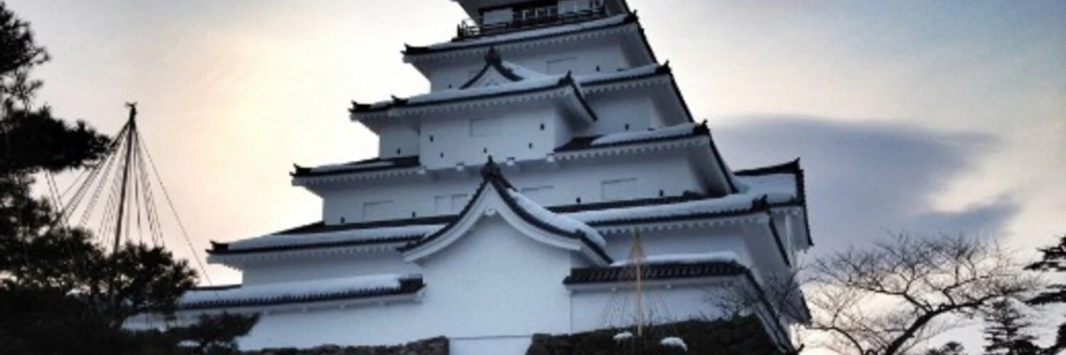 Sascha M Holesch cover