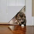 Kitty Korner