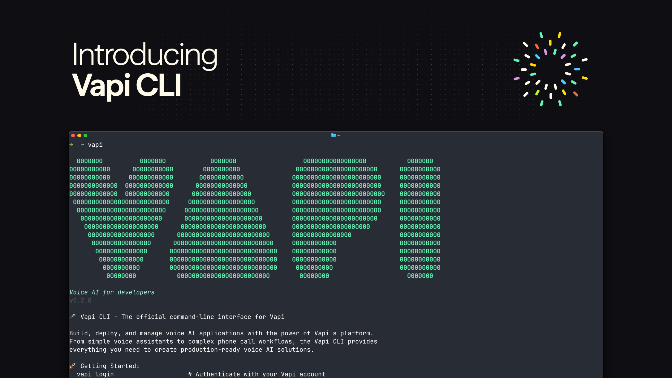 Vapi CLI