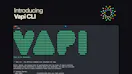 Vapi CLI
