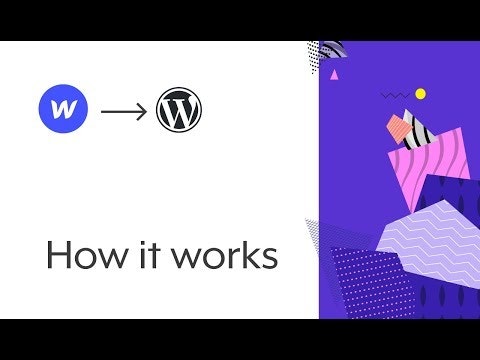 Udesly.com gallery image