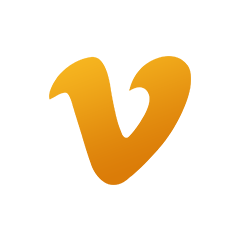 VidVeo3 AI logo