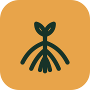 ClientRoot