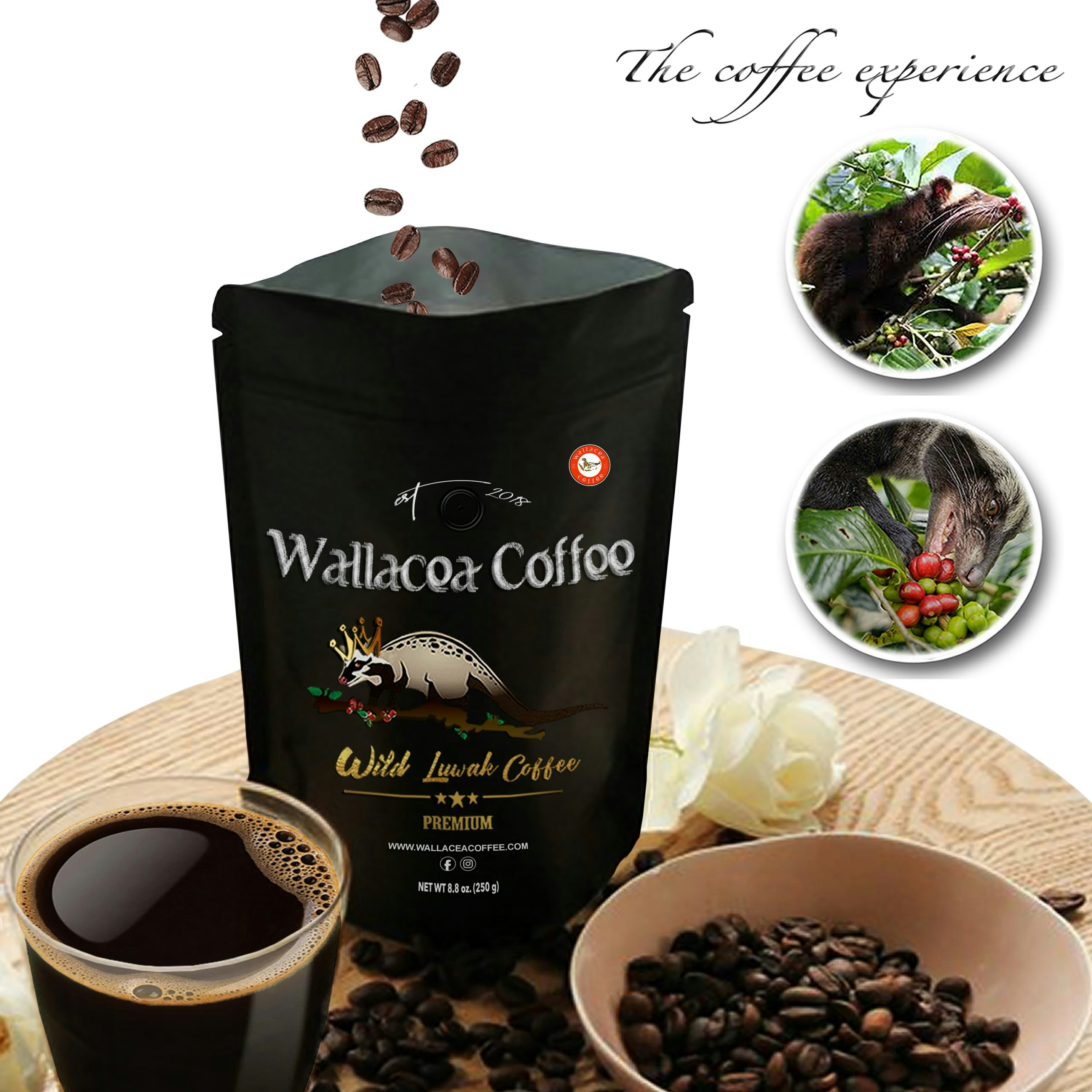 KOPI LUWAK COFFEE (GROUND COFFEE BEANS) media 4