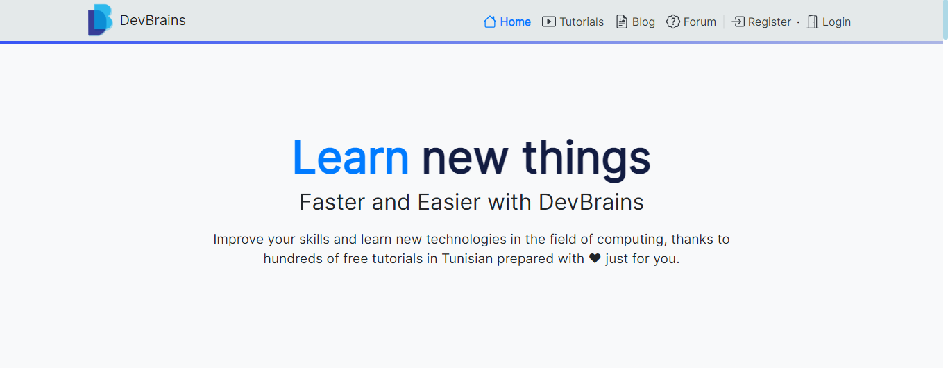 DevBrains gallery image