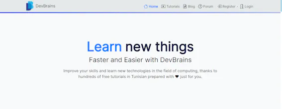 DevBrains gallery image