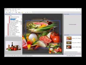 PhotoTangler Collage Maker gallery image