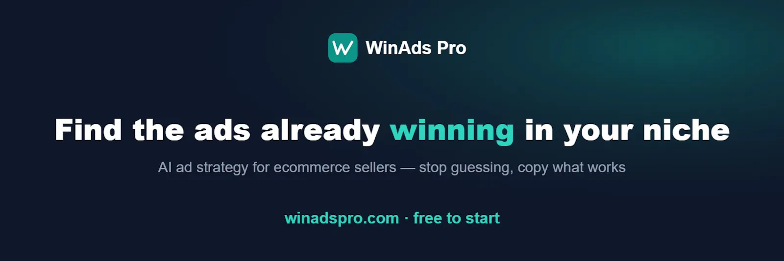 WinAds Pro screenshot 1