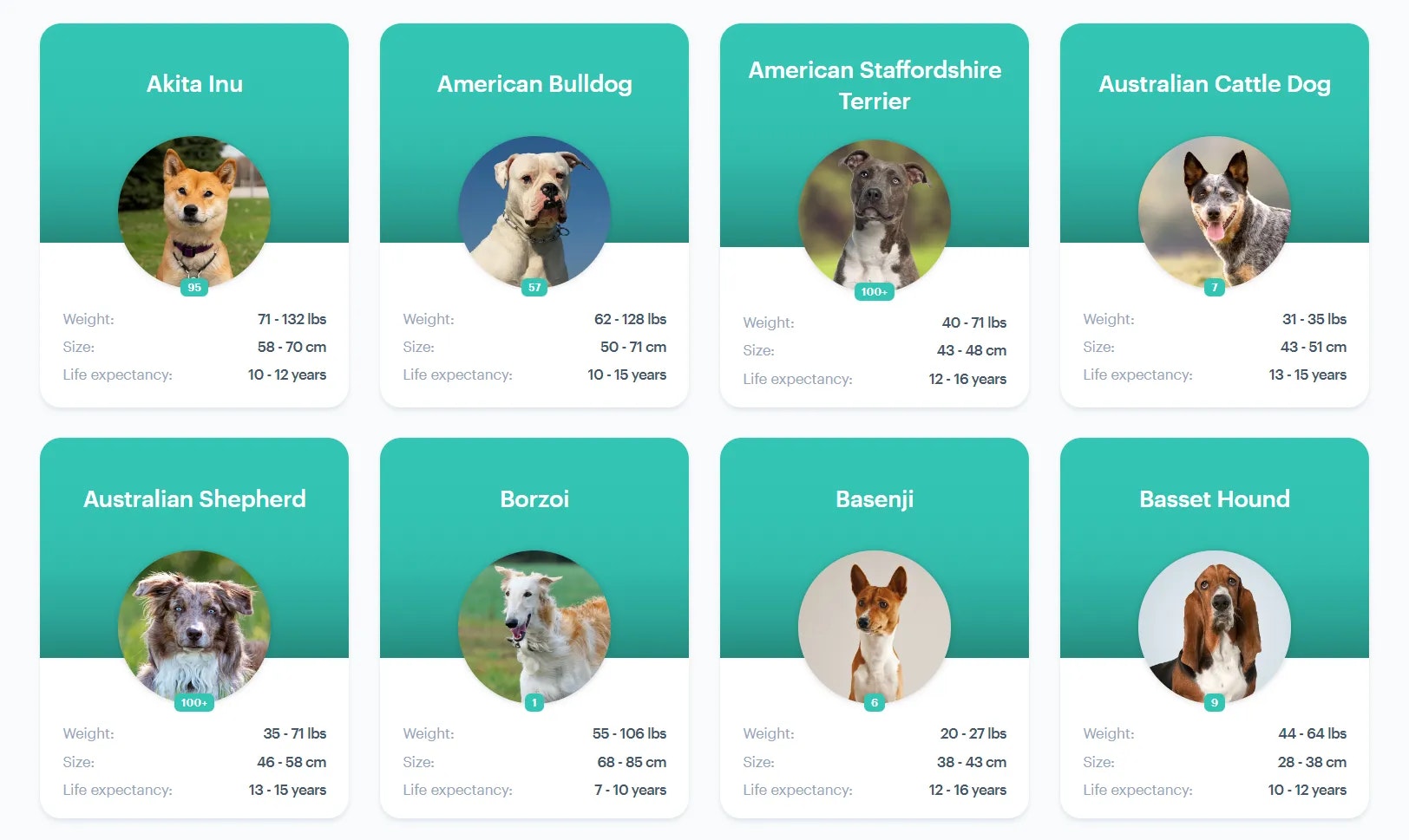 Mídia 1 de Dog-Weight.com