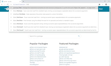 Golang Search Extension gallery image