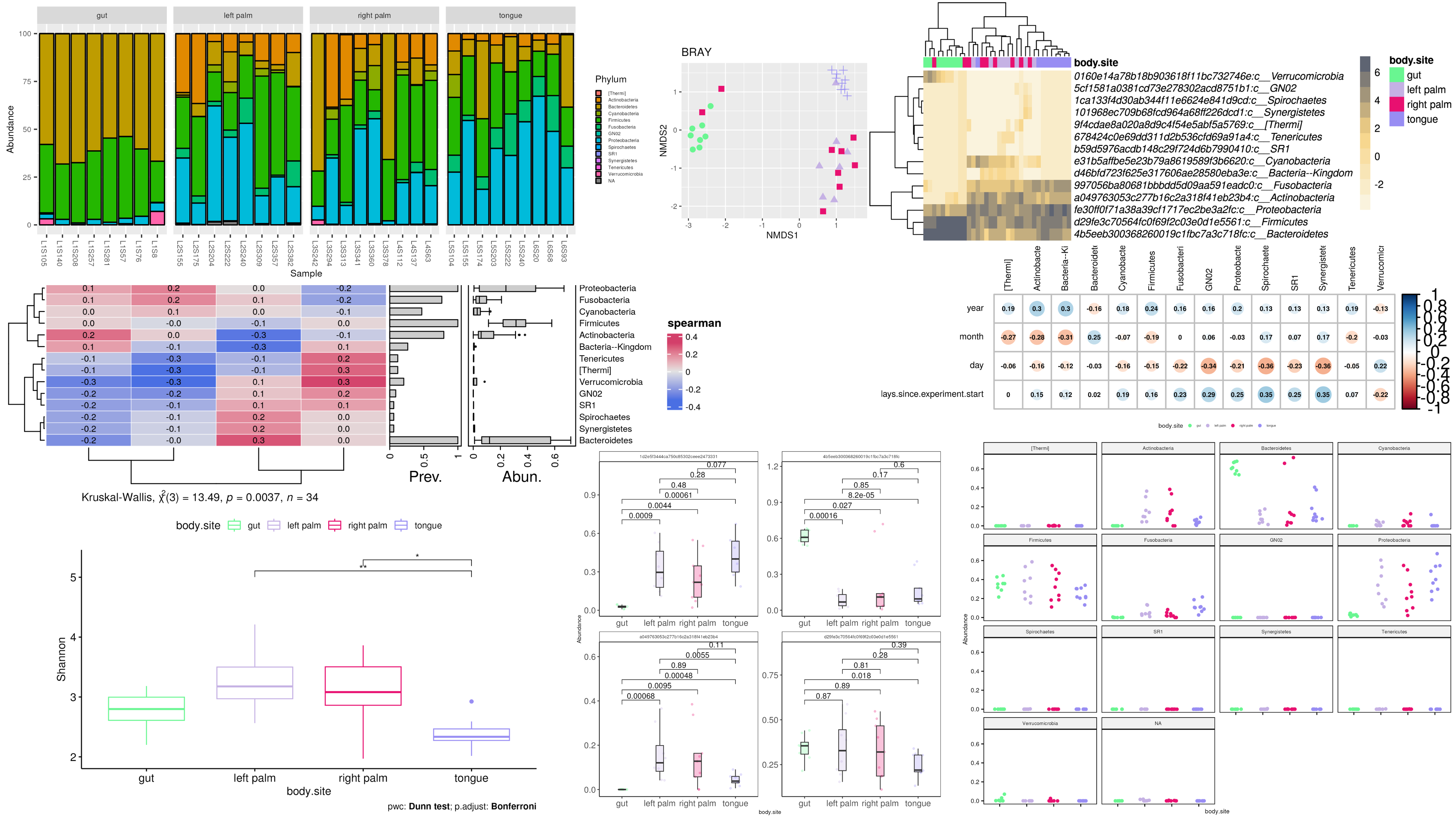 microbiomephylo media 3