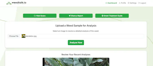 weedtalk.io gallery image