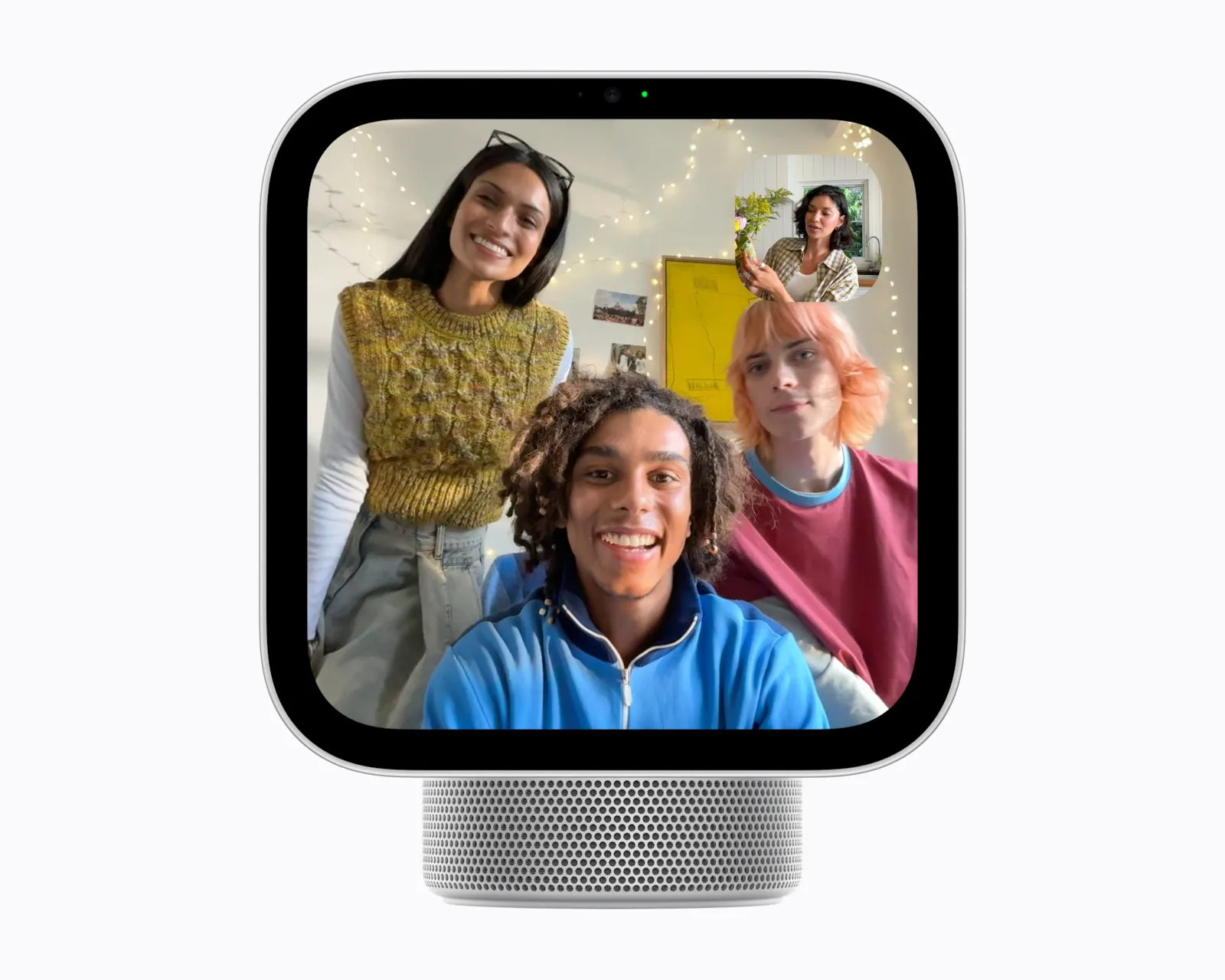Apple HomeView screenshot 13