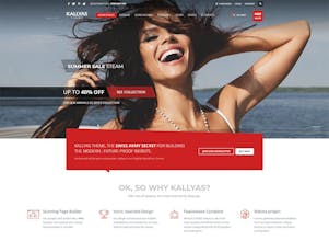 Kallyas WordPress theme gallery image