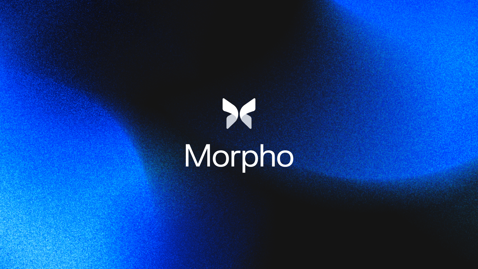 Morpho gallery image
